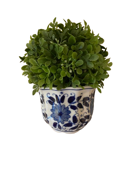 Chinoiserie Pot with Boxwood Sphere